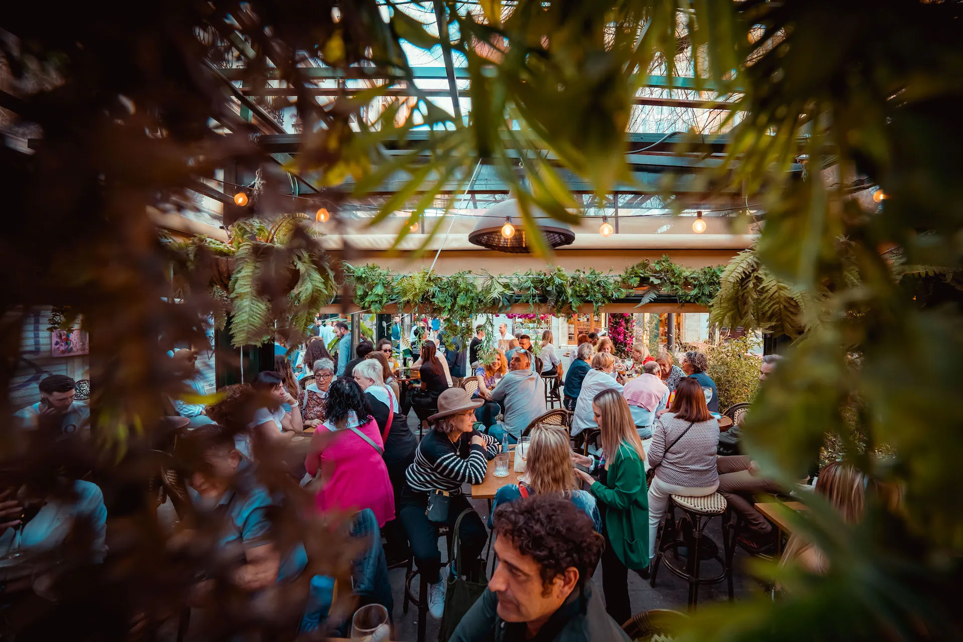 Interior y terraza de Caroca con plantas y luces cálidas
